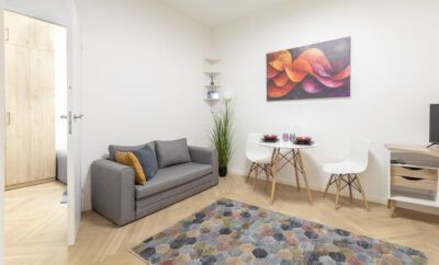 Vieno miegamojo apartamentai Vilniuje, S. Skapo g.