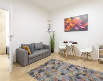 Vieno miegamojo apartamentai Vilniuje, S. Skapo g.