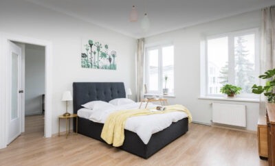 Dviejų miegamųjų apartamentai Vilniuje, Paupio g.