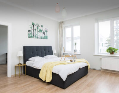 Dviejų miegamųjų apartamentai Vilniuje, Paupio g.